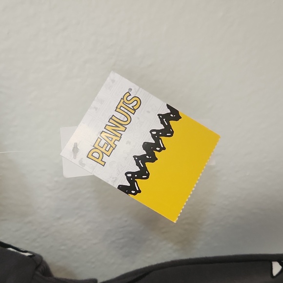 Peanuts 2 Piece Toddler Sweat Shirt and Sweat Pants - Picture 2 of 4